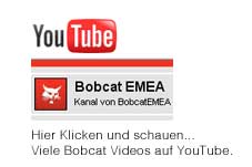 Bobcat Video